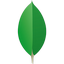 MongoDB