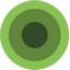 Wootric